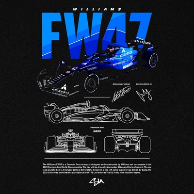 Williams FW47 minta - Fekete