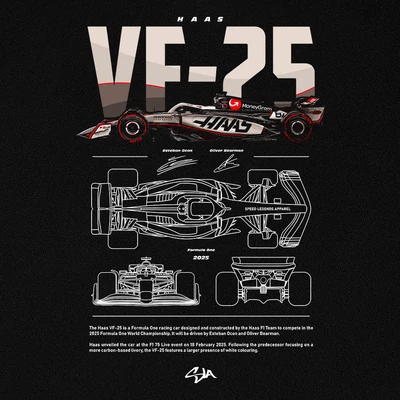 Haas VF-25 minta - Fekete