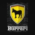 Burrari minta - Fekete